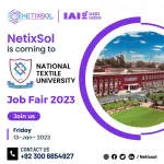 NetixSol company logo