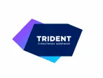 Virikson Travel company logo