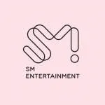 SM Technology company logo